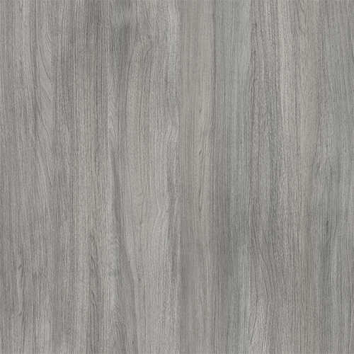 Вяз дымчатый