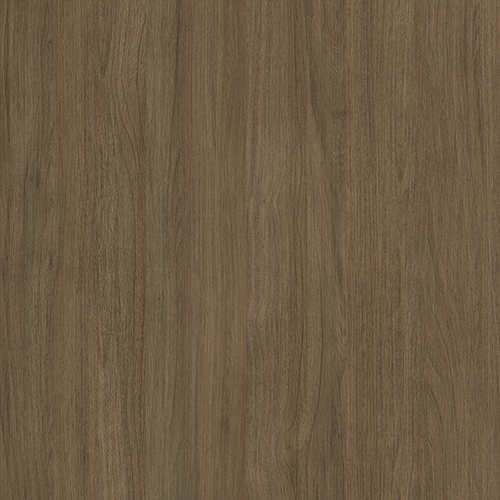 Лиственница амурская